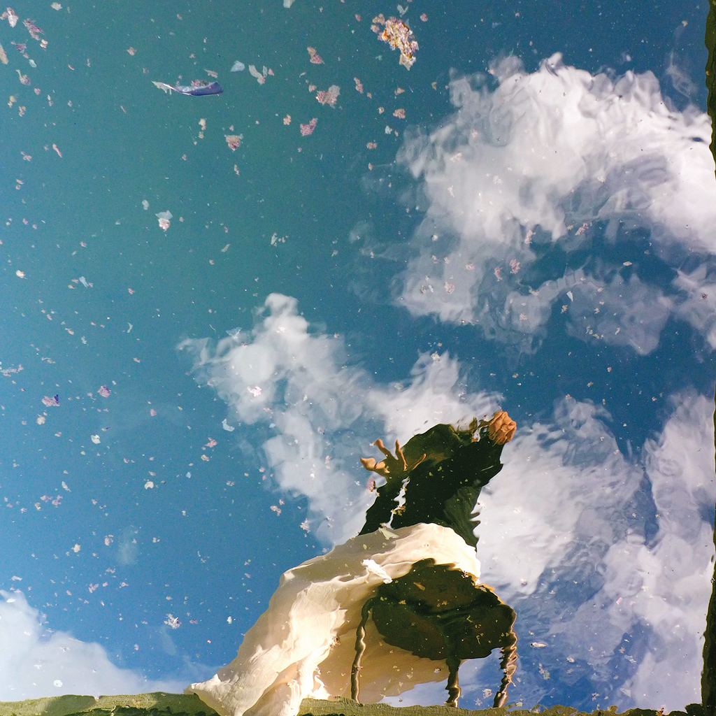 Metamorphoses_6